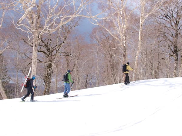 每日限定6人！屬於自己的冬季尾瀨獨享之旅！壓雪車乘坐體驗＋穿著雪鞋漫步雪原～並附上可盡享尾瀨絕景的山頂下午茶時光～