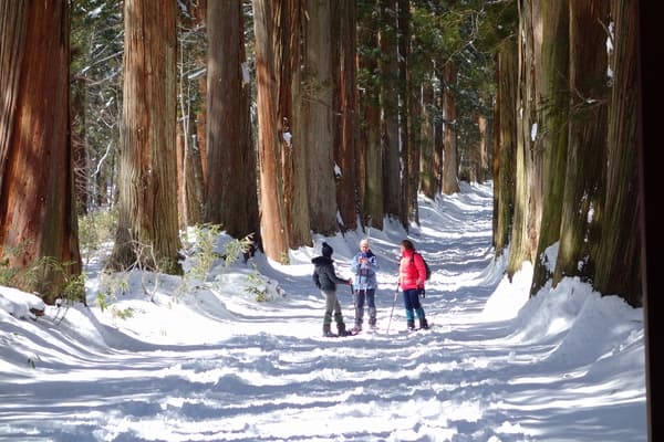 在戶隱的北信五岳神祕空間中進行1天的雪地健行之旅