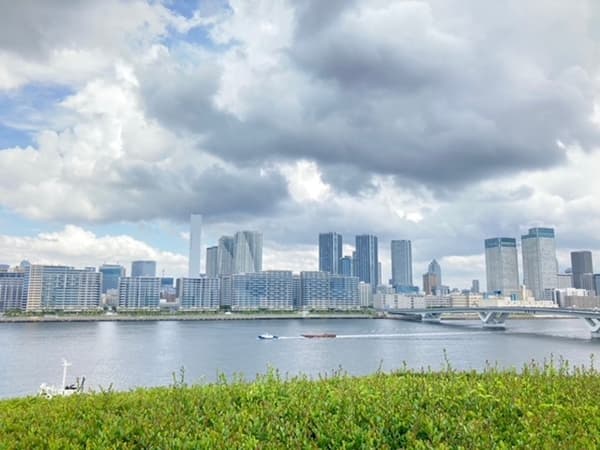 【旺季】遊覽豐洲、有明的包車之旅 - 東京