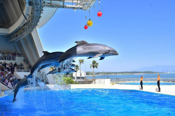 海之中道水族館 入場門票 - 福岡東區