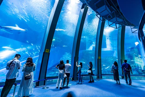 八景島海島樂園／一日通行證預售兌換券 附JPY1,000商店優惠券 - 橫濱