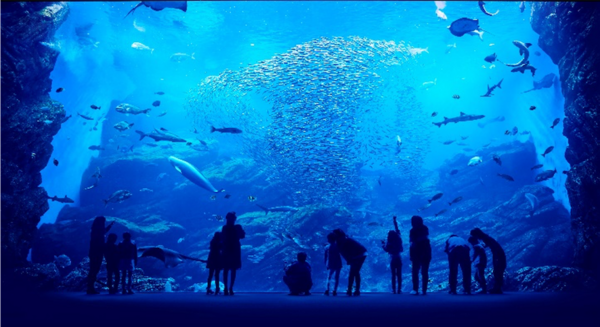 【18-64歲】仙台海洋森林水族館 門票 - 仙台