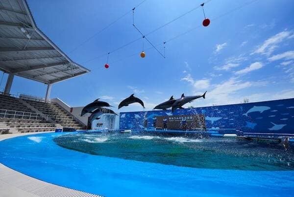 【6-11歲】仙台海洋森林水族館 門票 - 仙台