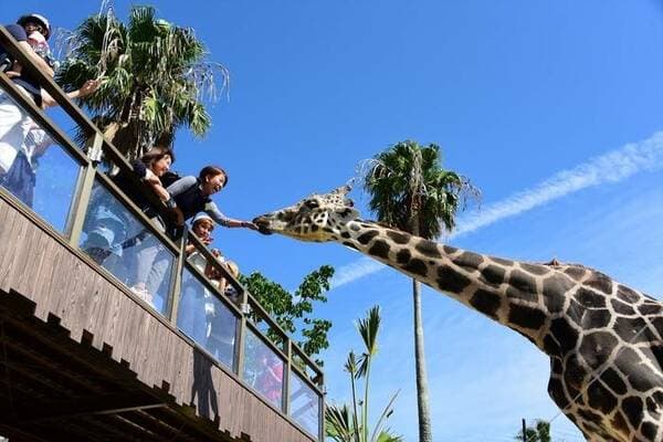 【4～11歲】冒險大世界1日入園券 - 和歌山