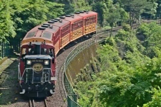 【嵯峨・嵐山－龜岡】嵯峨野遊覽小火車（單程車票） - 京都