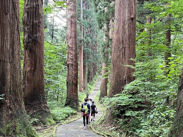 「奧之細道」羽黑山E-BIKE單車之旅 附導覽＆午餐（素齋） - 山形