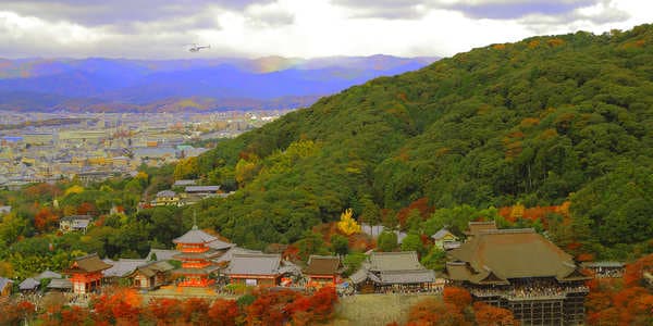 搭乘直升機由空中俯瞰京都，巡遊清水寺