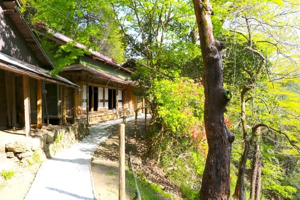 【平常】日本原始風光盡在此處♪於古民宅大峰體驗悠閒的農村生活