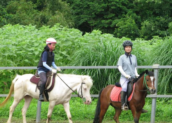 風來里馬小屋 騎馬課程體驗&森林步道散步行程 - 茨城石岡