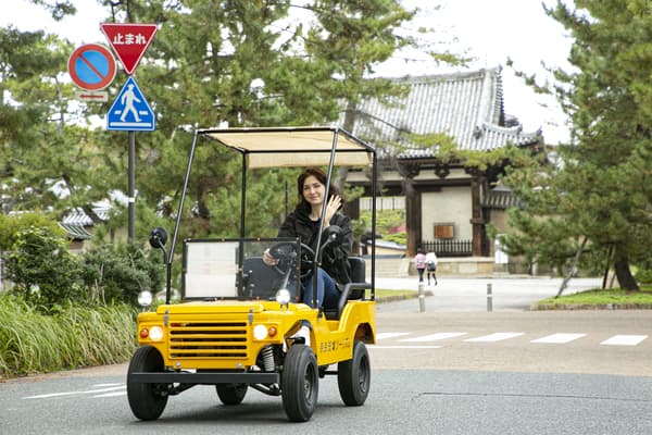 搭乘小型越野車暢遊世界遺產三塔 - 奈良