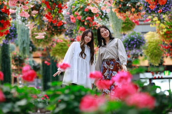 【16歳以上】只有這裡才能體驗！可在日本最大的溫室拍花卉照&與鳥兒零距離互動的主題樂園門票
