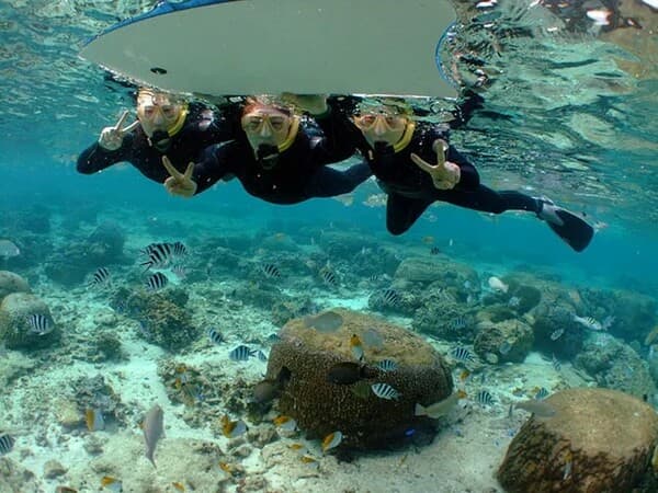 恩納村 繽紛熱帶魚&珊瑚之森的浮潛之旅 - 沖繩國頭
