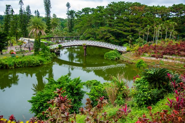 【18歲以上・白天】東南植物樂園 門票 - 沖繩