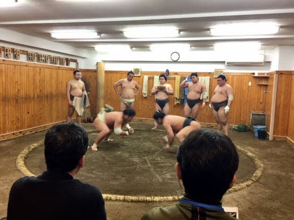 中英文導遊陪同 參觀日本國技相撲的「早晨練習」 體驗日本刀劍文化 - 東京
