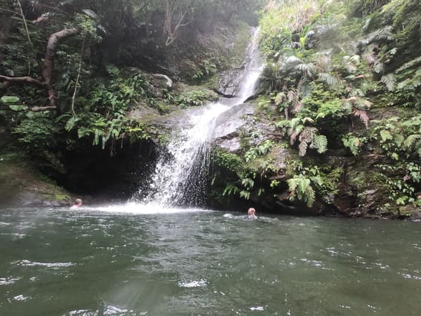 探索山原之森 於瀑布潭游泳的河川健行之旅 - 沖繩