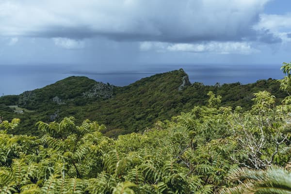 在御嶽的大自然中，重新審視自我的心靈療養之旅 - 沖繩