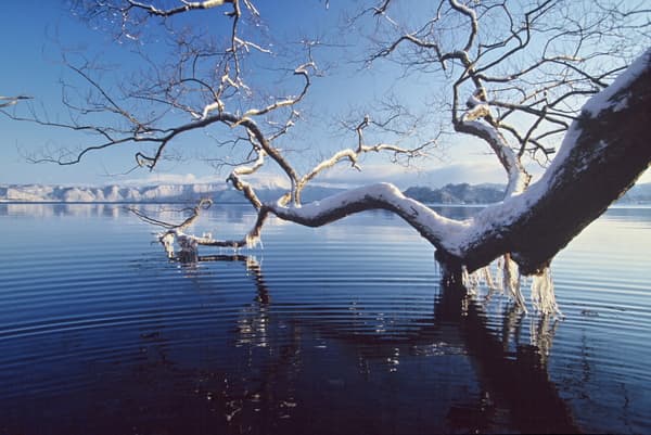 十和田八幡平國立公園 冬季美景周遊之旅（附中文導覽） - 十和田