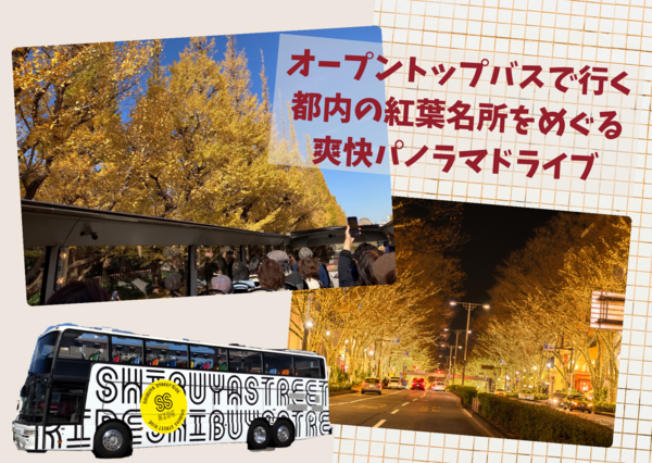 【下午出發・12/4（一）12/5（二）限定】遊覽東京都內著名楓葉景點 全景暢快兜風