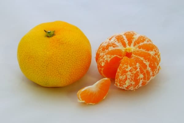 橘子汁、橘子油「RebOrange」製作體驗 - 和歌山