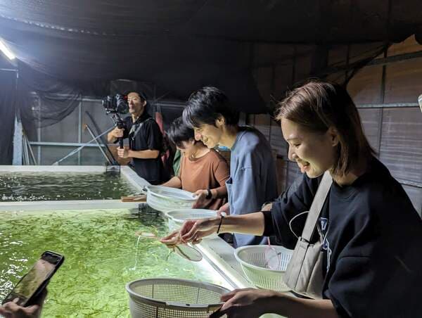 【4/1～5/6】海葡萄養殖場的夜間參觀行程 撈海葡萄體驗！ -沖繩
