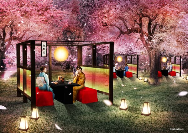 NAKED櫻花祭 2024 世界遺產・二條城｜頂級賞花區套票 - 京都
