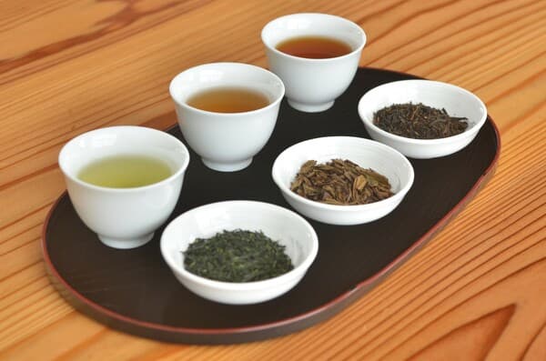 和束茶咖啡廳 多種和束茶試飲體驗（附和菓子） - 京都