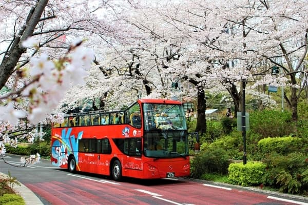SKY HOP BUS TOKYO 乘車券 【2日券】- 東京