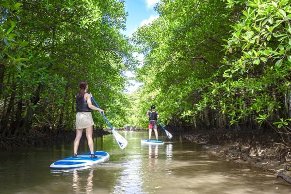 由布島觀光&紅樹林槳板或獨木舟（任選）體驗 - 西表島