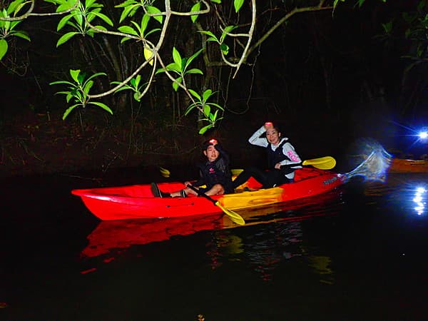 夜間紅樹林＆星空槳板或獨木舟體驗 - 西表島