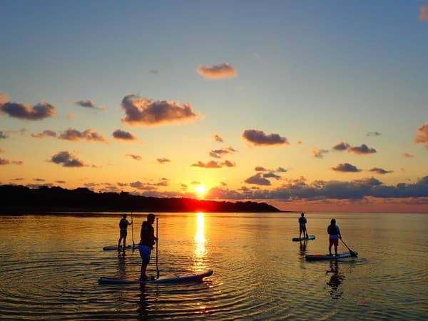 清晨槳板或獨木舟體驗 - 石垣島