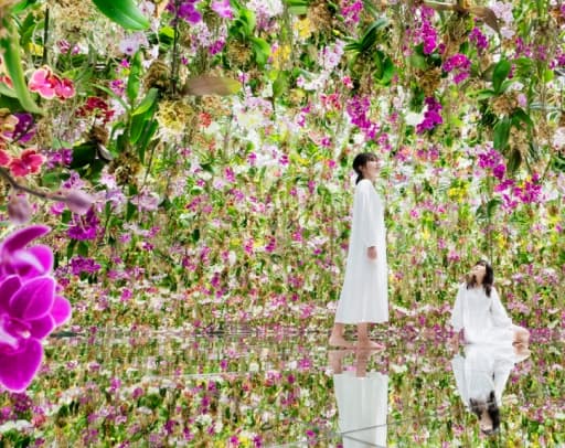 teamLab Planets TOKYO