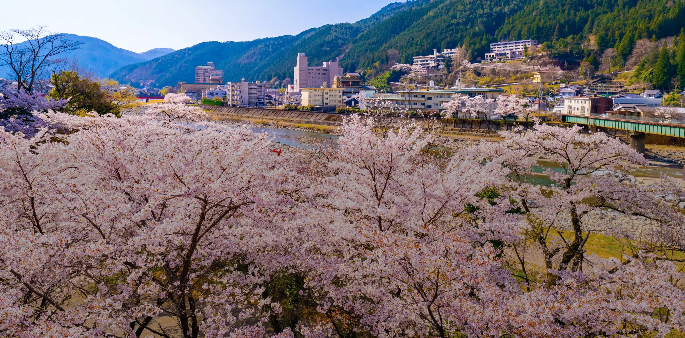chubu bg